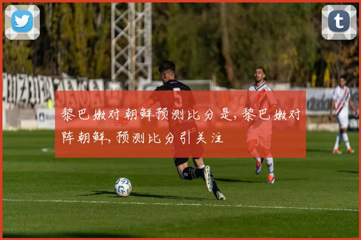 黎巴嫩对朝鲜预测比分是,黎巴嫩对阵朝鲜,预测比分引关注
